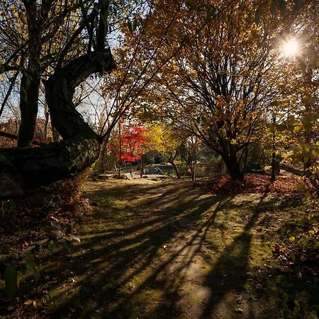 Ca Delle Glicini Prázdninový dům *