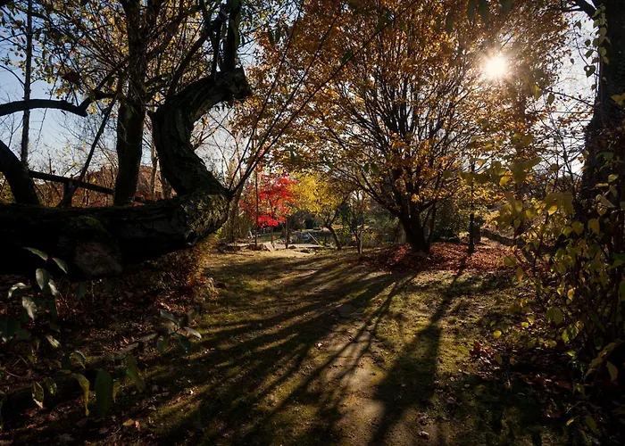Cà Delle Glicini Casa vacanze *